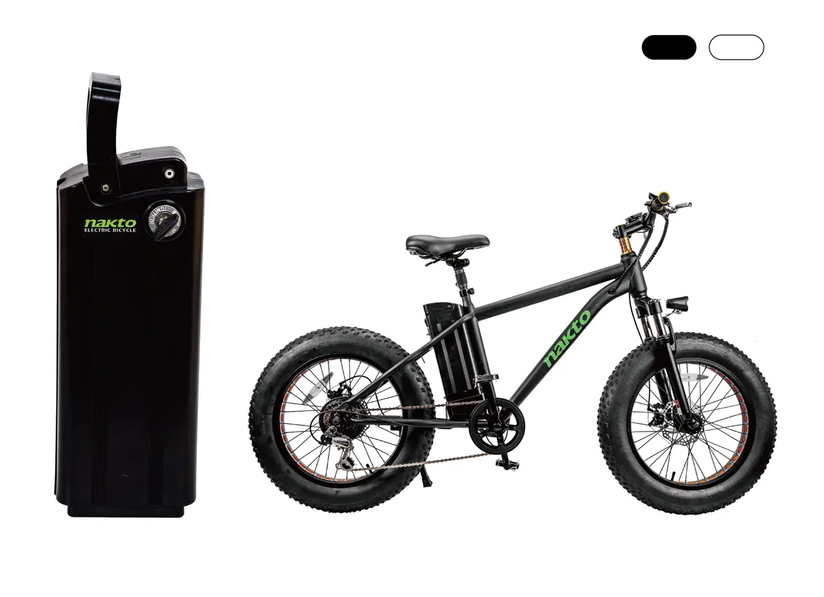 Ebike Battery Replacement For Mini Cruiser 2 1