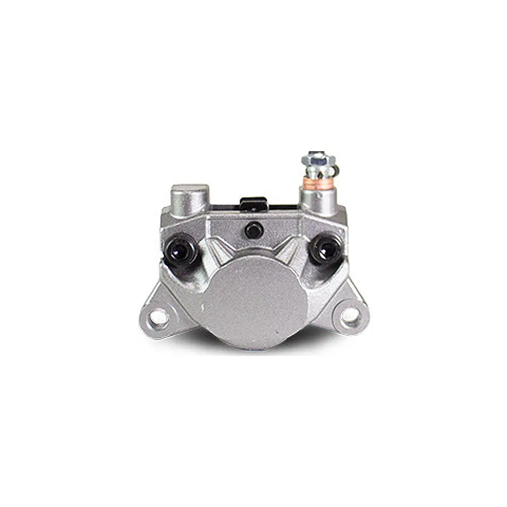 2 Piston Caliper 1