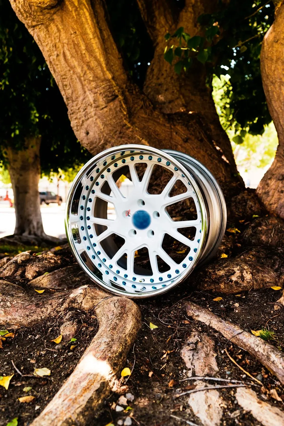 3-Piece Forged Wheels For All Models Bf-41 1
