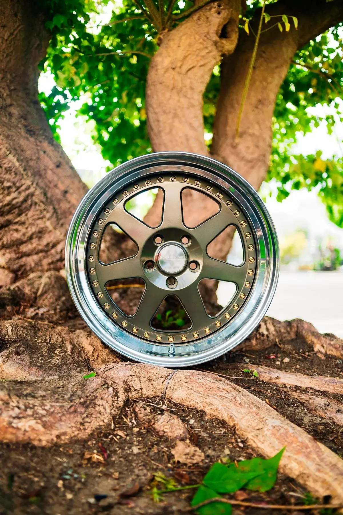 3-Piece Forged Wheels For All Models Bf-46 1