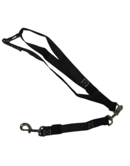Dog/Puppy Seat Leash For Golf Cart 1